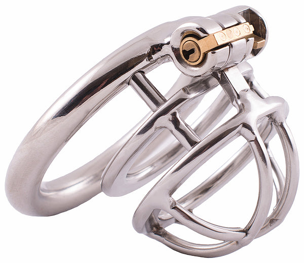 Polished steel HoD SSC75S male chastity device made up of multiple sections. A circular separator ring fits between the circular back ring and cage.