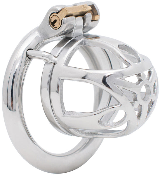 Small polished metal JTS S219 cage with circular back ring. The front of the cage has an intricate triangular bar design.