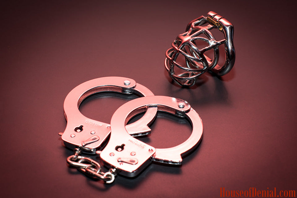 Coerced Bi with Another Kinky Femdom Couple Story - Part 1/2