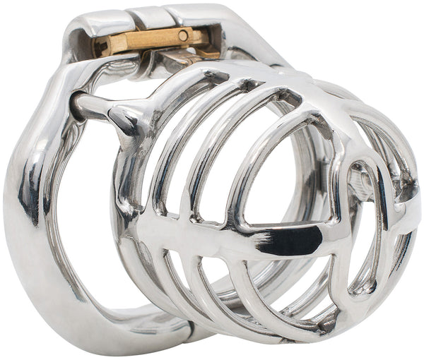 Standard S160 stainless steel male chastity device.