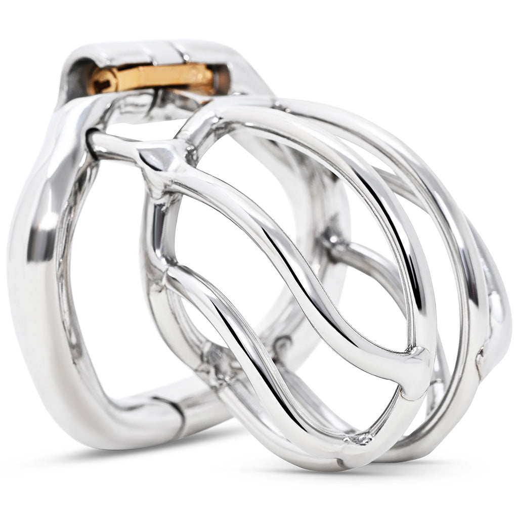 Small bird cage style stainless steel cage with attached hinged back ring.