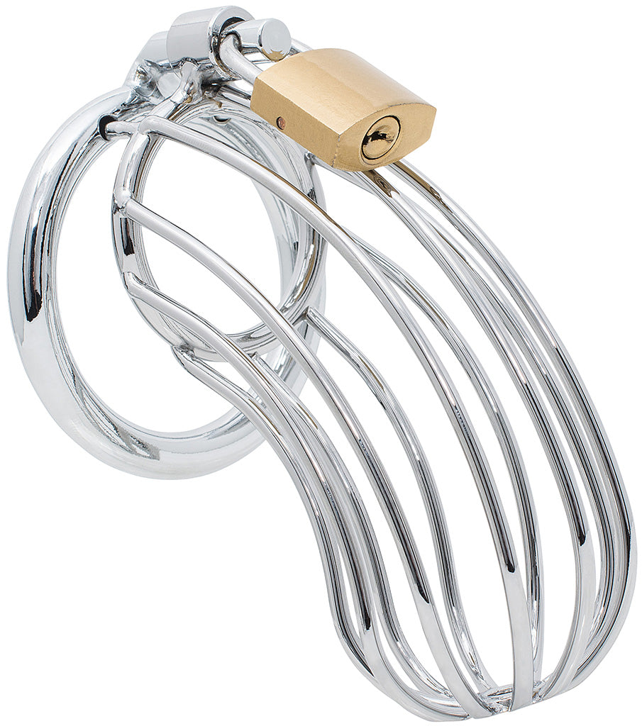 Steel bird cage chastity device with a 50mm back ring and a brass padlock attached. The cage is made up of many thin circular bars with gaps between them.