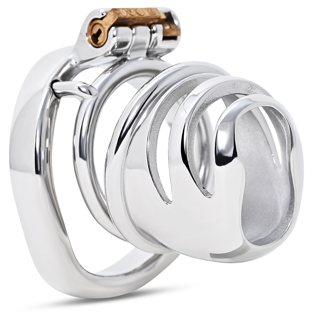 Stainless steel cage kit attached to a curved back ring against a plain white background.
