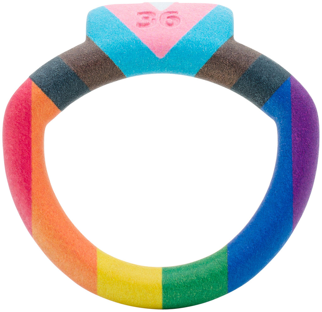 Back Ring Accessory Pride Edition Olympus Back Ring - Barrel Lock - All Sizes– House of Denial