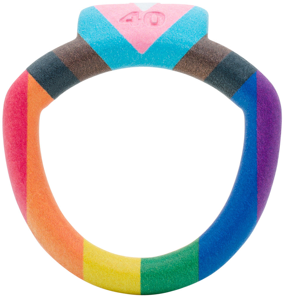Back Ring Accessory Pride Edition Olympus Back Ring - Barrel Lock - All Sizes– House of Denial