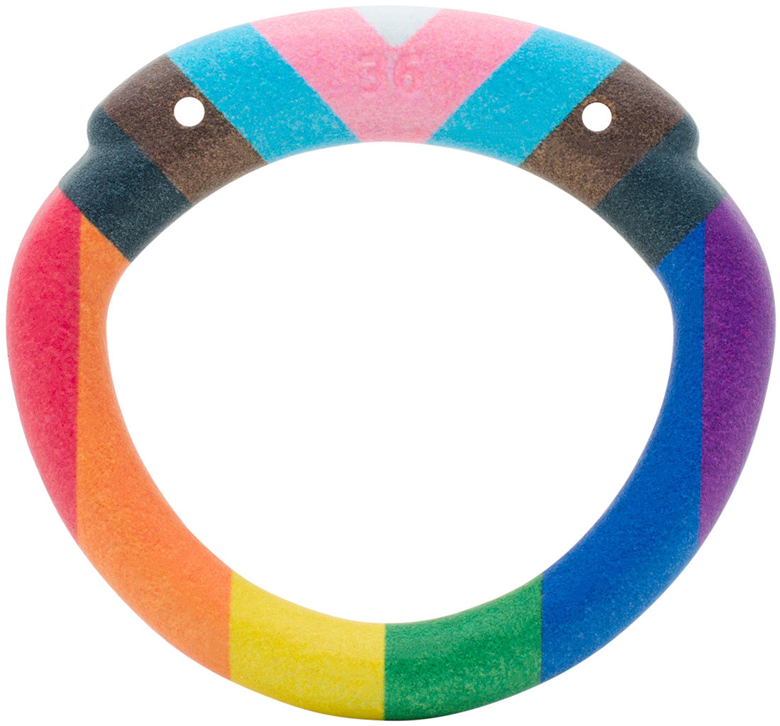 Pride Edition Olympus Back Ring - Hexlock - All Sizes– House of Denial