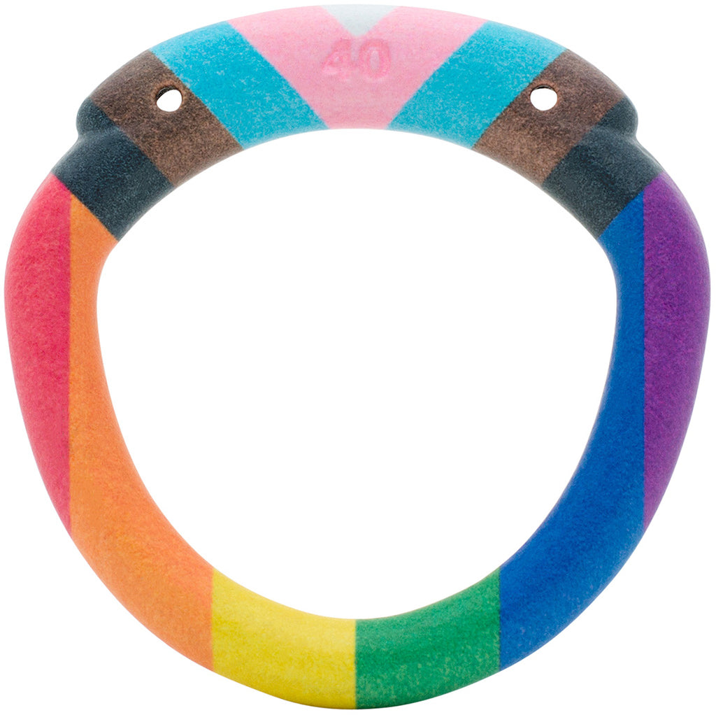 Back Ring Accessory Pride Edition Olympus Back Ring - Hexlock - All Sizes– House of Denial