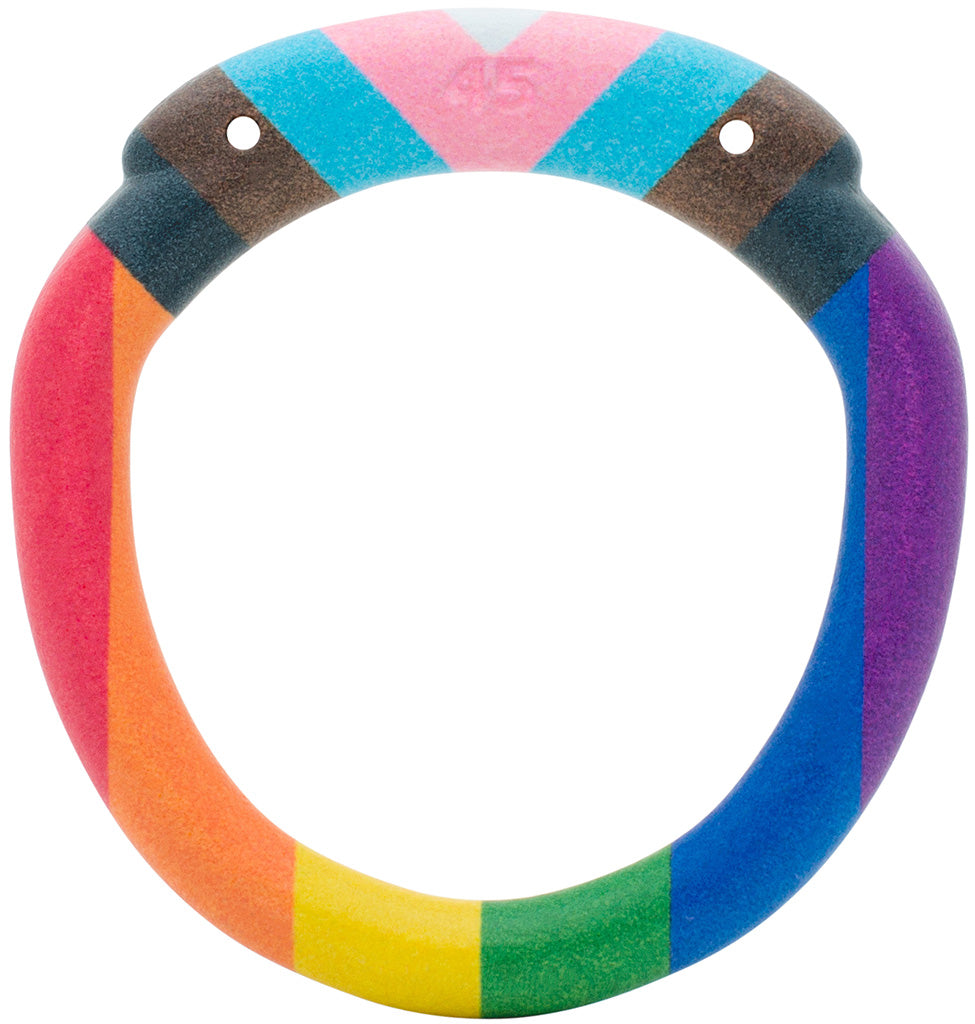 Back Ring Accessory Pride Edition Olympus Back Ring - Hexlock - All Sizes– House of Denial