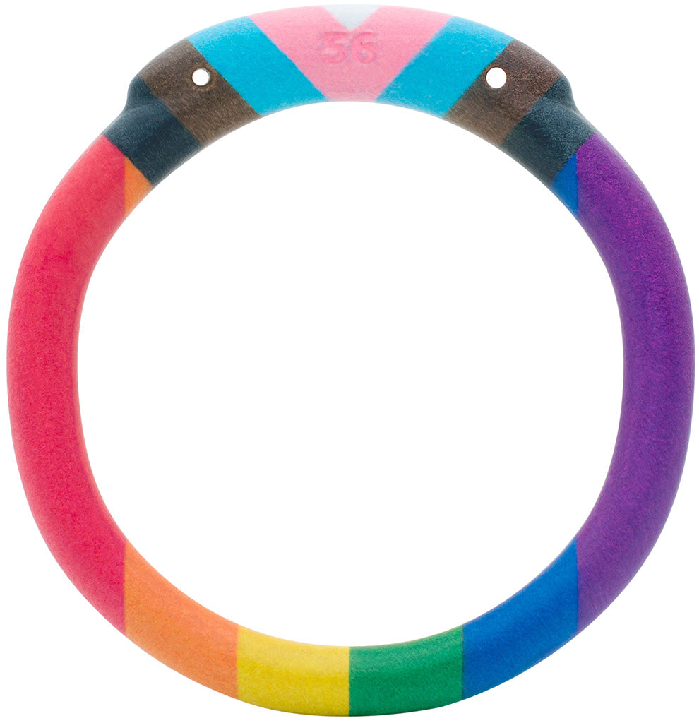 Back Ring Accessory Pride Edition Olympus Back Ring - Hexlock - All Sizes– House of Denial