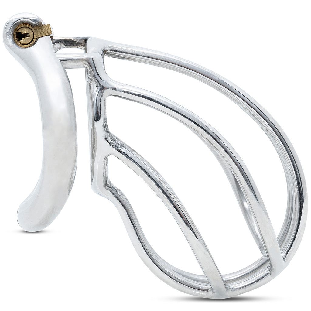 Side view of the standard size S171 cage kit with attached hinged back ring and brass barrel lock.