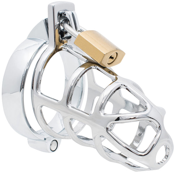 Steel HoD300 male chastity device with a 50mm hinged back ring.