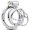 A polished stainless steel standard size cage an attached interlocking rings, a wire muzzle style design and enclosed lock system, shown on a clean white background.