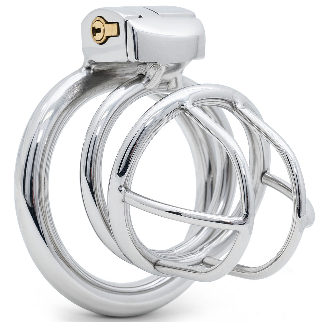 A polished stainless steel standard size cage an attached interlocking rings, a wire muzzle style design and enclosed lock system, shown on a clean white background.