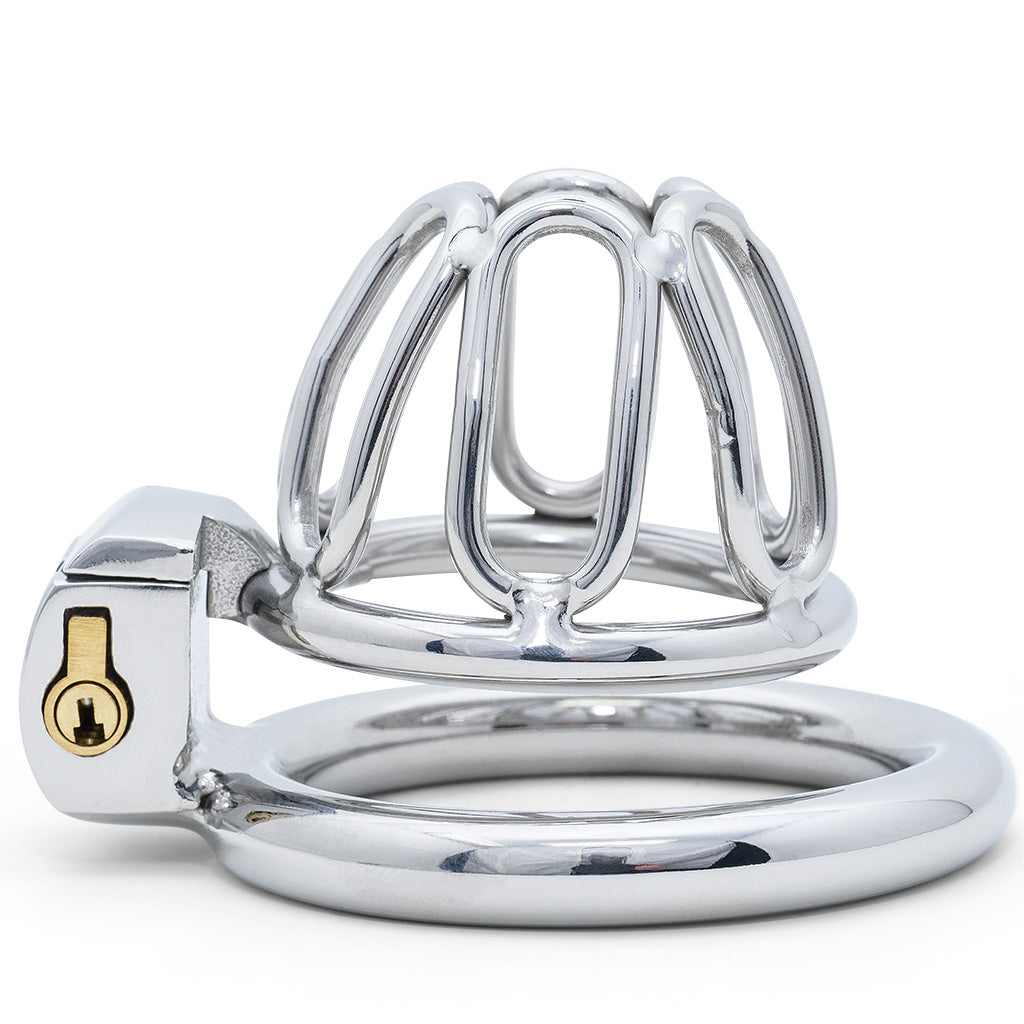 A shiny metal cage made up of multiple oval shaped bars and attached back ring with an enclosed brass lock, photographed on a clean white background.