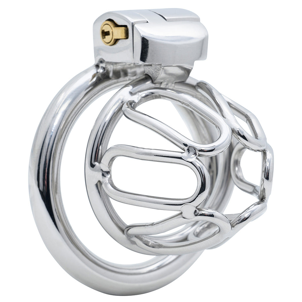 A polished stainless steel chastity device featuring a large outer back ring, an intricate cage-like interior structure, and an enclosed brass barrel lock, shown on a white background.