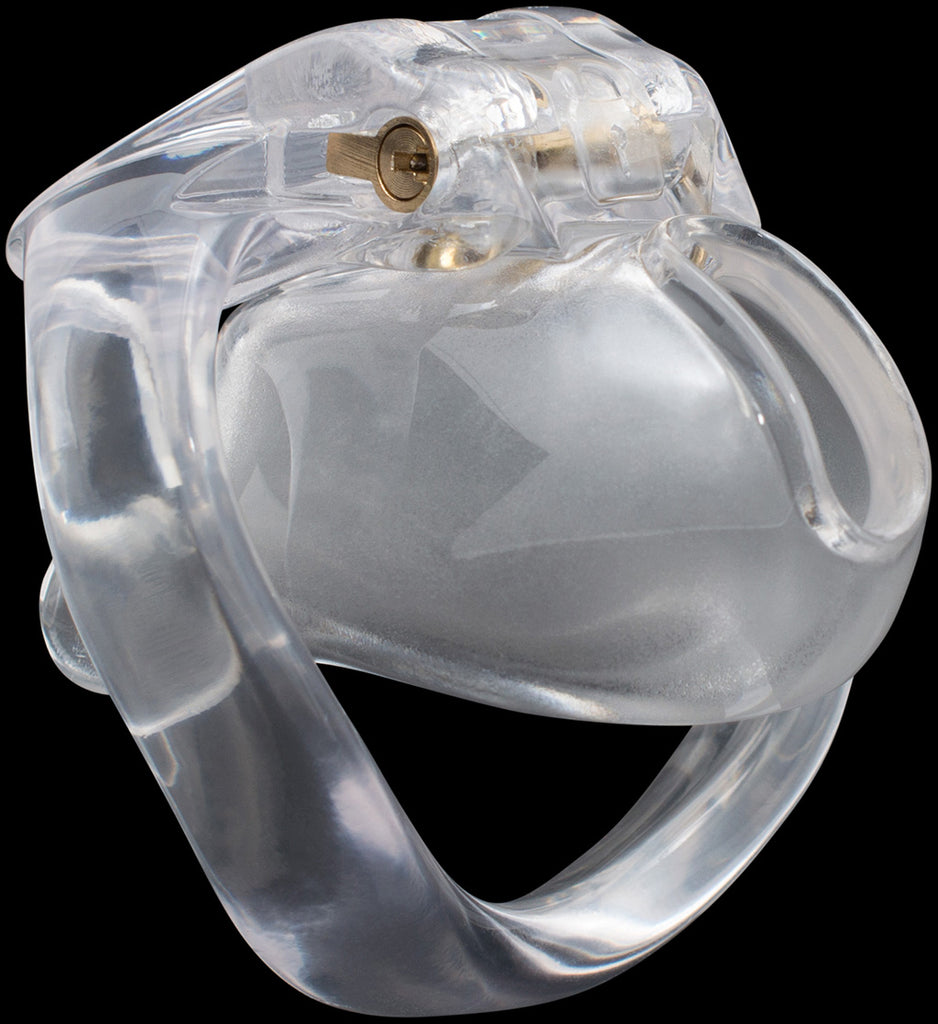 Nub clear House Trainer V4 chastity device.