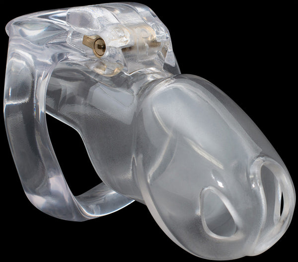 Standard clear House Trainer V4 chastity device.