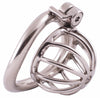 Polished steel HoD S111 ultra small male chastity device with a curved back ring and hex shaped bolt at the top for secure wear.
