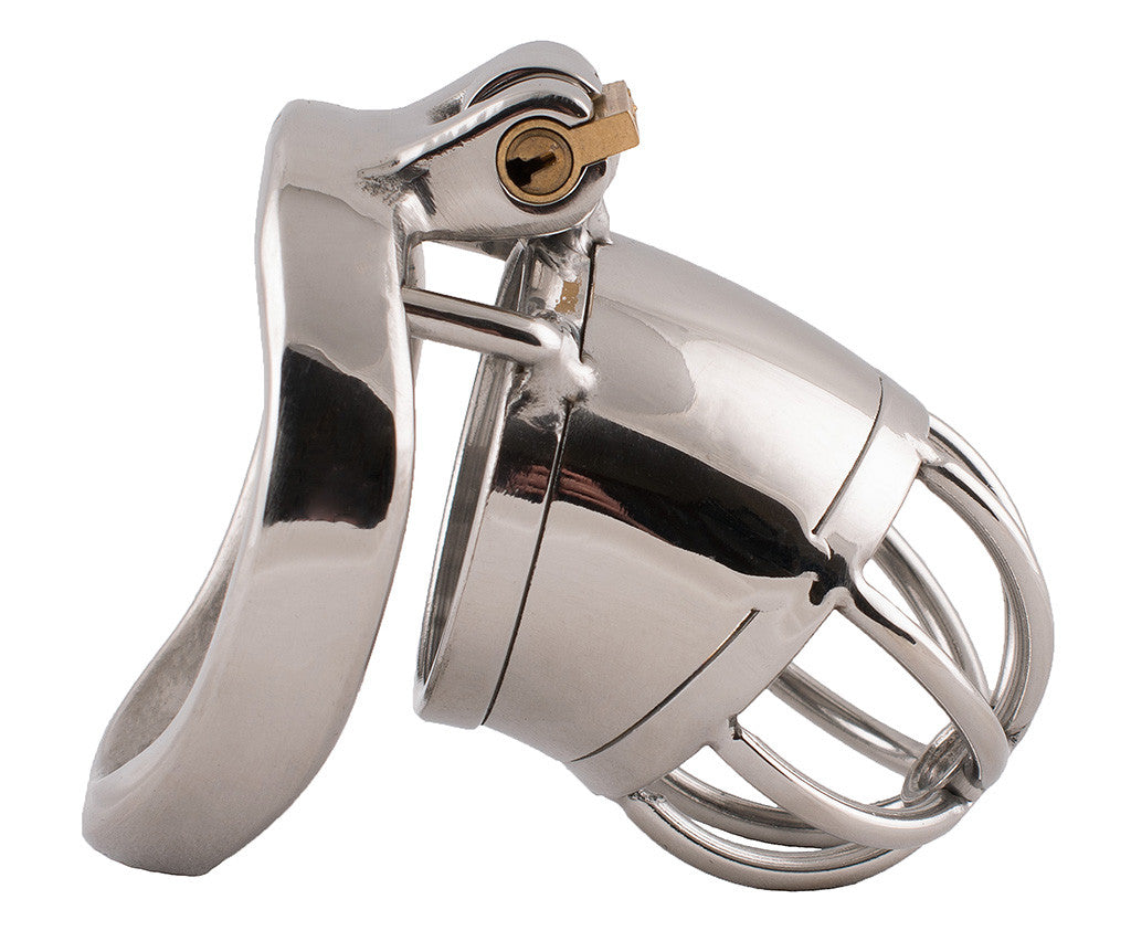 Side view of the small S87 cage kit with a shiny solid tube and curved bars making up the head section. The cage is attached to a curved back ring.