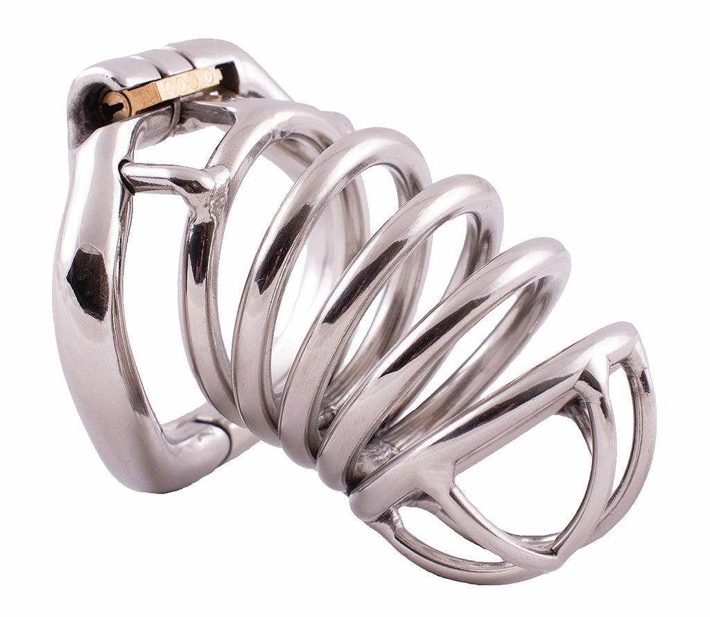 Large size S99 steel male chastity device made up of three circular rings and a front section that has a wide opening between the bars. The back ring has a hinge at the bottom and a brass lock through the top holding it onto the cage.