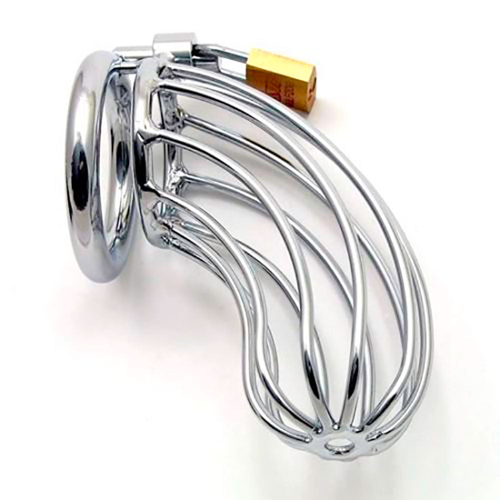 Steel bird cage chastity device with a brass padlock locked onto the ring. The cage is made up of multiple curved and rounded bars that run from the top opening down to the front.