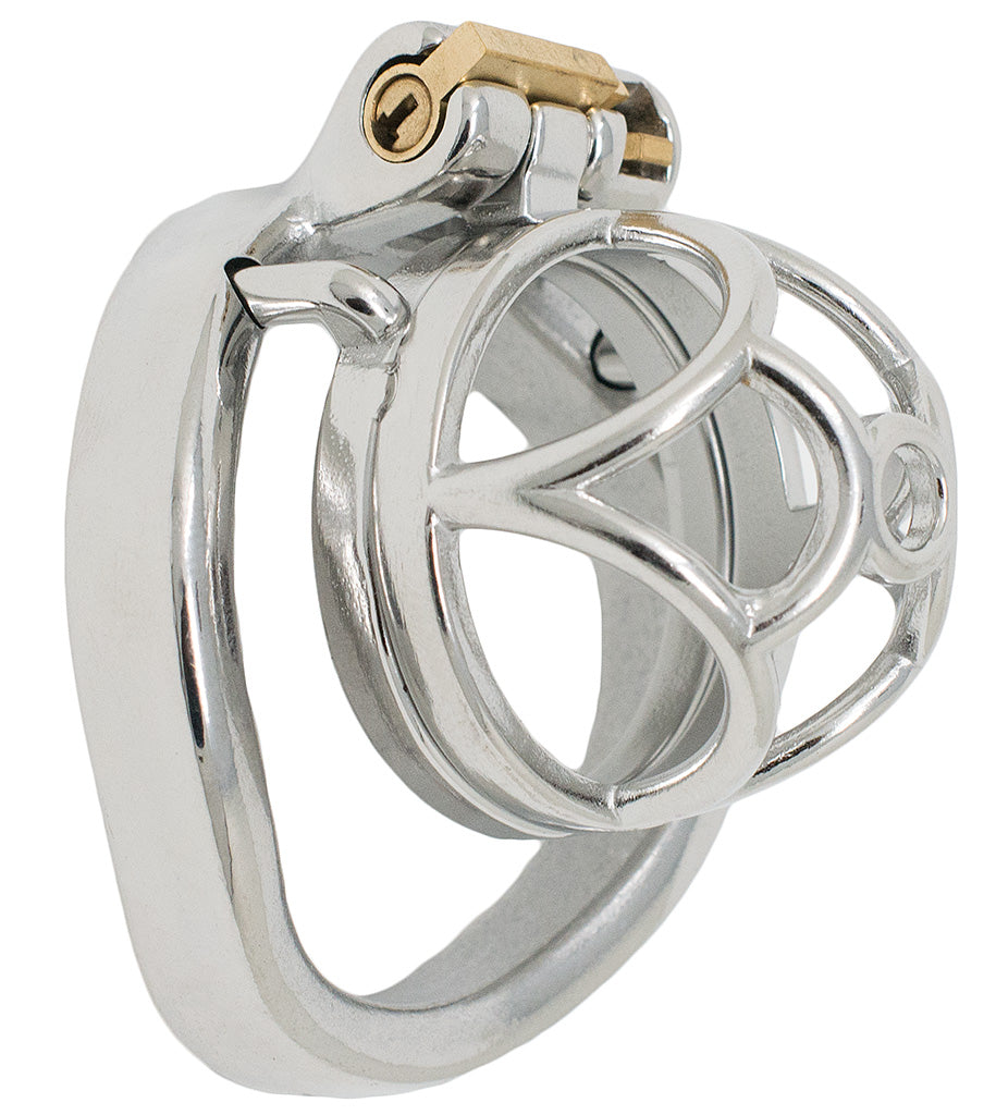 JTS S201 small chastity device with a curved ring