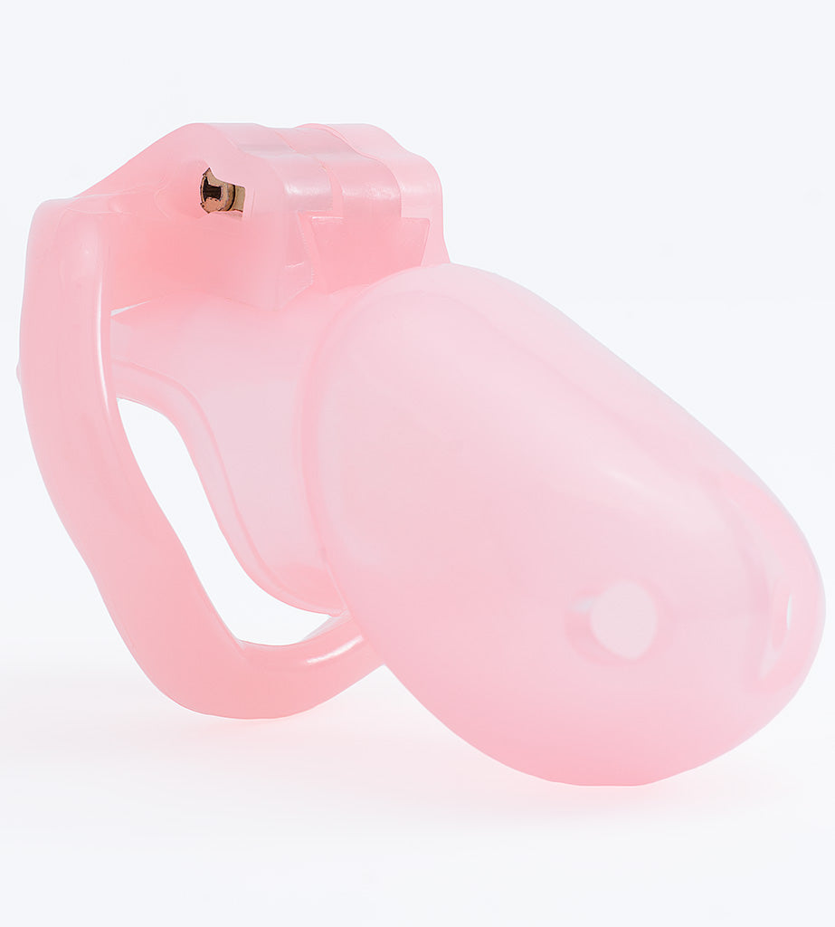 Pink Holy Trainer V3 Male Chastity Device House of Denial picture