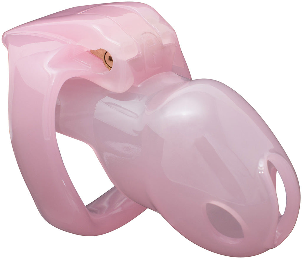 Small pink House Trainer V4 chastity device.