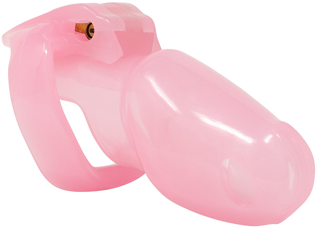 Maxi pink Holy Trainer V4 chastity device.